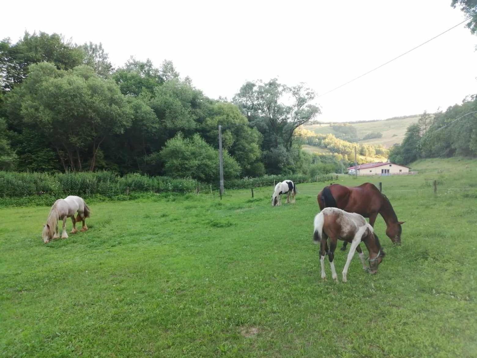 Oddychovy Pobyt Na Rodinnej Farme Matiaska Exterior photo