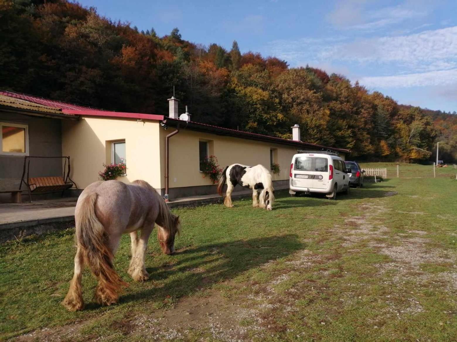 Oddychovy Pobyt Na Rodinnej Farme Matiaska Exterior photo