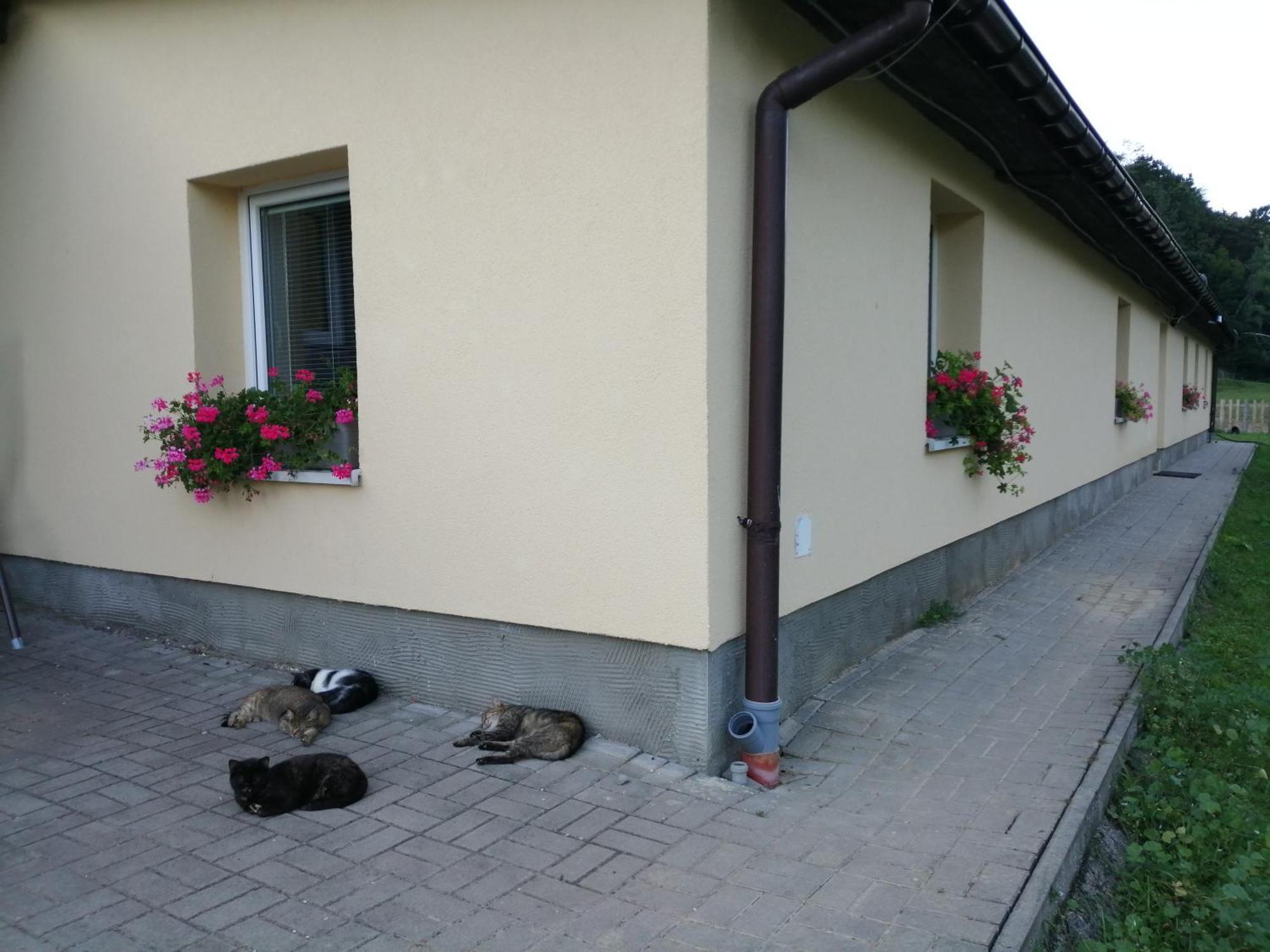 Oddychovy Pobyt Na Rodinnej Farme Matiaska Exterior photo